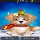 Oltre sfondi animati su Android Flying islands, scarica apk gratis Cute puppy.
