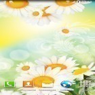Oltre sfondi animati su Android Oil painting, scarica apk gratis Daisies by Live wallpapers.