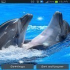 Oltre sfondi animati su Android Gyrospace 3D, scarica apk gratis Dolphins.