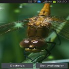 Oltre sfondi animati su Android Magic nature, scarica apk gratis Dragonfly.
