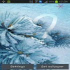 Oltre sfondi animati su Android Fantasy forest, scarica apk gratis Draw on the frozen screen.