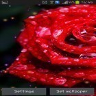 Oltre sfondi animati su Android Flag of Serbia 3D, scarica apk gratis Drops and roses.