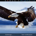 Oltre sfondi animati su Android Gyrospace 3D, scarica apk gratis Eagle.