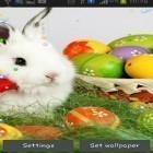 Oltre sfondi animati su Android Time, scarica apk gratis Easter bunnies 2015.