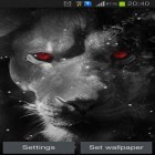 Oltre sfondi animati su Android Butterfly by Live Wallpapers 3D, scarica apk gratis Eyes lion.