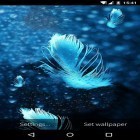 Oltre sfondi animati su Android Aquarium, scarica apk gratis Feather: Bubble.