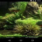Oltre sfondi animati su Android 3D Waterfall pro, scarica apk gratis Fish aquarium 3D.