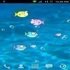 Scaricare Fishbowl by Splabs su Android, e anche altri sfondi animati gratuiti per Fly ERA Life.