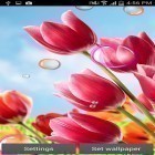 Oltre sfondi animati su Android Paris by Cute Live Wallpapers And Backgrounds, scarica apk gratis Flowers 2015.