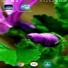Oltre sfondi animati su Android Sharks by Fun Live Wallpapers, scarica apk gratis Flowers life.