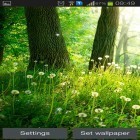 Oltre sfondi animati su Android Sky garden, scarica apk gratis Forest by Live wallpaper hq.