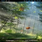 Oltre sfondi animati su Android My log home, scarica apk gratis Forest by Pro live wallpapers.