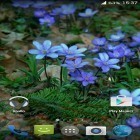 Oltre sfondi animati su Android Serbian Flag 3D, scarica apk gratis Forest flowers.