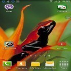 Oltre sfondi animati su Android Rainy London by Phoenix Live Wallpapers, scarica apk gratis Frogs: shake and change.
