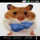 Oltre sfondi animati su Android Flower 360 3D, scarica apk gratis Funny hamster: Cracked screen.