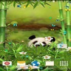 Oltre sfondi animati su Android Clock Work, scarica apk gratis Funny panda.