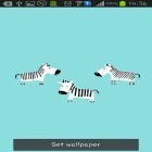 Oltre sfondi animati su Android White flowers, scarica apk gratis Funny zebra.