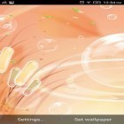 Oltre sfondi animati su Android Fireflies by Wallpapers and Backgrounds Live, scarica apk gratis Glowing water.