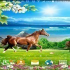 Oltre sfondi animati su Android Cocktails and drinks, scarica apk gratis Horses by Villehugh.