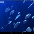 Oltre sfondi animati su Android Tree with falling leaves, scarica apk gratis Jellyfishes 3D.