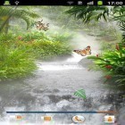 Oltre sfondi animati su Android Peacock feather, scarica apk gratis Jungle by Happy.