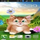 Oltre sfondi animati su Android Raindrop, scarica apk gratis Kitten.