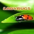 Oltre sfondi animati su Android Cars clock, scarica apk gratis Ladybugs.