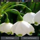 Oltre sfondi animati su Android Fruit by Happy live wallpapers, scarica apk gratis Lily of valley forest.