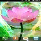 Oltre sfondi animati su Android Romantic, scarica apk gratis Lotus by Venkateshwara apps.