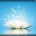 Oltre sfondi animati su Android Screen speaker, scarica apk gratis Magic water lilies.
