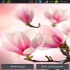 Oltre sfondi animati su Android Gentle flowers, scarica apk gratis Magnolia.