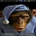 Oltre sfondi animati su Android Siberian night, scarica apk gratis Monkey 3D.