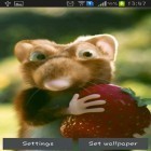 Oltre sfondi animati su Android Stripe ICS pro, scarica apk gratis Mouse with strawberries.
