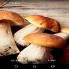 Oltre sfondi animati su Android Nature by Live Wallpaper HD 3D, scarica apk gratis Mushrooms.