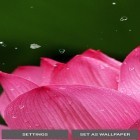 Oltre sfondi animati su Android Spring trees, scarica apk gratis Nature by Top Live Wallpapers.
