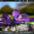 Oltre sfondi animati su Android Real space 3D, scarica apk gratis Nature live: Spring flowers 3D.