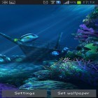 Oltre sfondi animati su Android Dolphin 3D, scarica apk gratis Ocean HD.