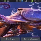 Oltre sfondi animati su Android My 3D fish, scarica apk gratis Octopus.