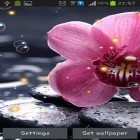Oltre sfondi animati su Android Water galaxy, scarica apk gratis Orchid HD.