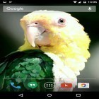Oltre sfondi animati su Android Laser green light, scarica apk gratis Parrots.