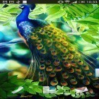 Oltre sfondi animati su Android Thunderstorm by Creative Factory Wallpapers, scarica apk gratis Peacock.