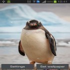 Oltre sfondi animati su Android Neon flowers, scarica apk gratis Penguin.