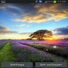 Scaricare Perfect sunset su Android, e anche altri sfondi animati gratuiti per Samsung Galaxy Corby 550.