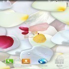 Scaricare Petals 3D by Blackbird wallpapers su Android, e anche altri sfondi animati gratuiti per Sony Ericsson W302.