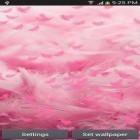 Oltre sfondi animati su Android Rose clock by Mobile Masti Zone, scarica apk gratis Pink feather.