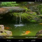 Oltre sfondi animati su Android Waterfall and swan, scarica apk gratis Pond with Koi.