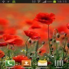 Oltre sfondi animati su Android Planets by Top Live Wallpapers, scarica apk gratis Poppies.