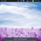 Oltre sfondi animati su Android Earth and Moon 3D, scarica apk gratis Purple lavender.