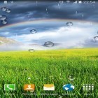 Oltre sfondi animati su Android Roses 3D by Happy live wallpapers, scarica apk gratis Rainbow by Blackbird wallpapers.