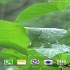 Oltre sfondi animati su Android Beautiful seasons weather, scarica apk gratis Rainstorm.